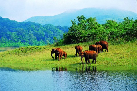 Thekkady